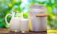 اجرای طرح ساماندهی لبنیات سنتی